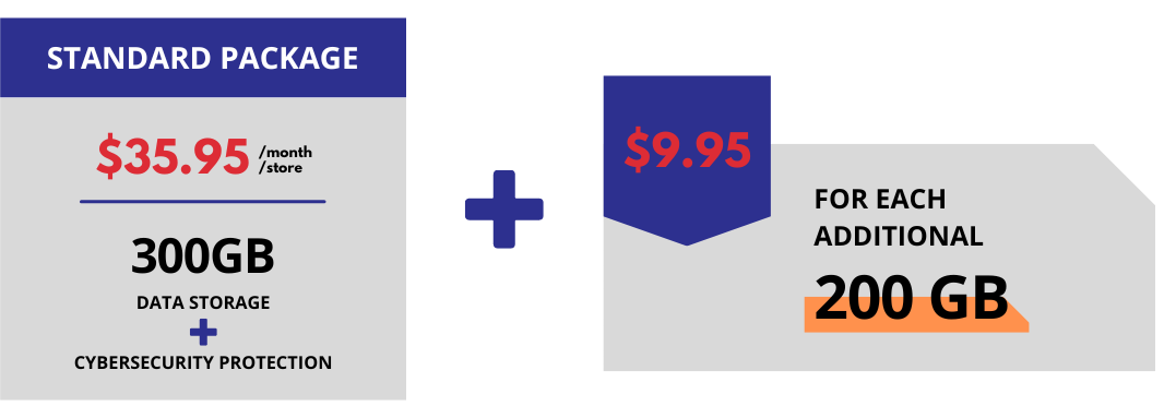 Pricing is separated into four tiers - Basic at 100GB for $20.00 per month - 
                    Standard at 300GB for $35.00 per month - Professional at 600GB for $60.00 per month - Enterprise at 
                    1TB for $90.00 per month. All plans include Cybersecurity Protection